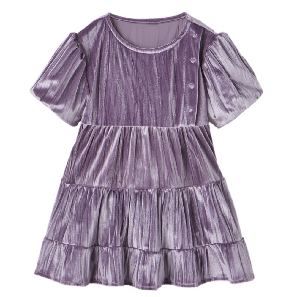 Zara 2T velvet dress